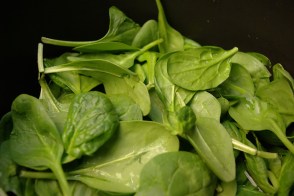 spinach-1324474-639x427