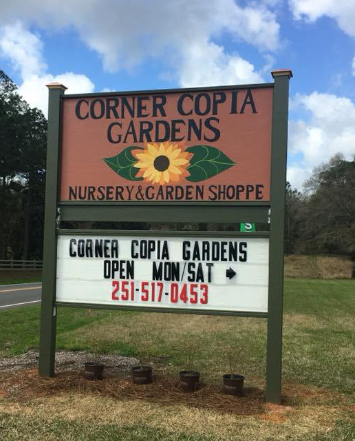 28377577_2015654578689170_7184158719352458018_n