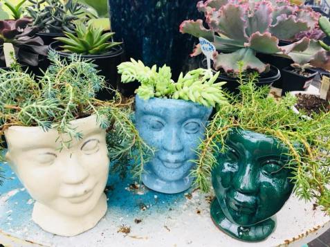 29343335_2027108377543790_3320206949001199616_n