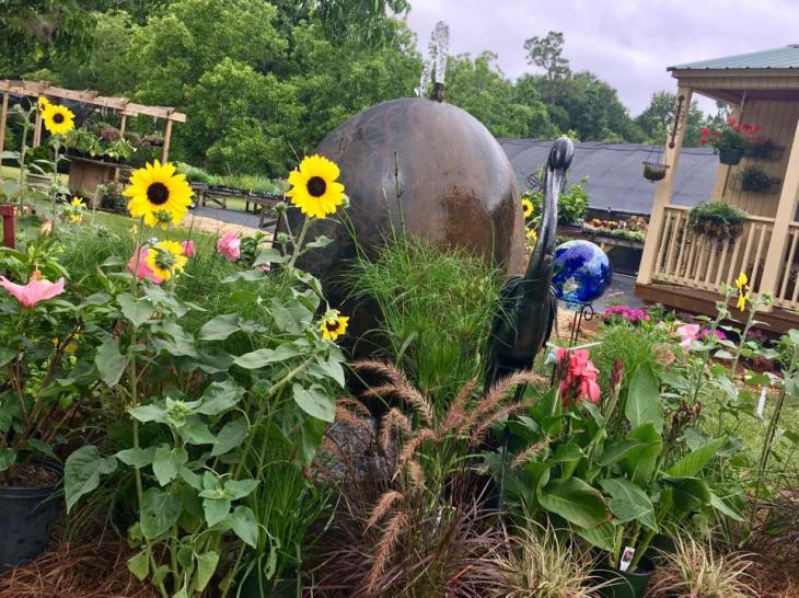 33778994_2062017524052875_3064642255856861184_n