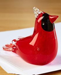 61L+2y01yoL._SL1000_